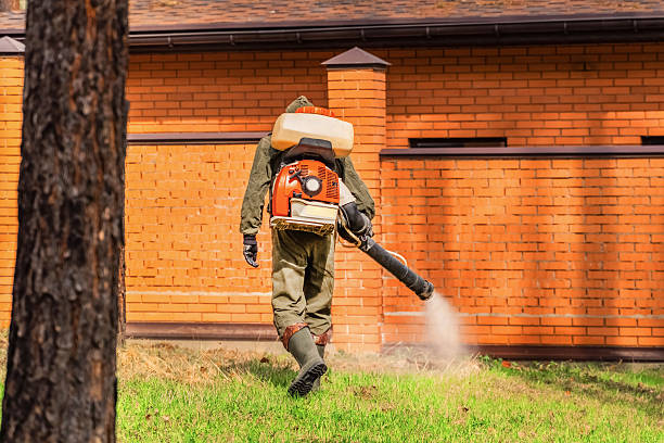 Trusted Termite Control service in Pennville, PA - Nex Pest Control